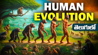 Human Evolution మానవ పరిణామం  How humans formed history humanevolution telugu [upl. by Thatch]