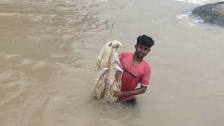 Hirakud Dam Re machhadhara video viralvideo video hirakuddam videos fishing [upl. by Melak]