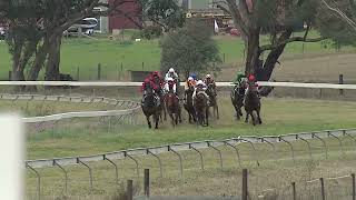 Gulgong 09 06 2024 Race 5 [upl. by Sewel]