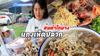 แกงเห็ดปลวกสดๆใหม่ๆ ส้มตำไก่ย่างนัวร์ สองเมนูอีสานแซบๆกินแลง คักขนาด [upl. by Sorac86]