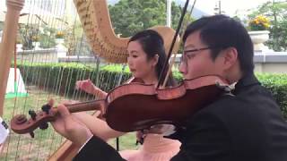 What a Wonderful World  Harp amp Violin Duet [upl. by Stanwin]