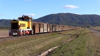 Another quotrattle byquot  Cane Trains  Australian Railways [upl. by Nicolai]