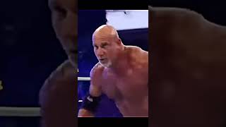 Brock Lesnar Vs 🔥 Goldberg At Wrestlemenia 33 😈wwe brocklesnar goldberg shrots [upl. by Materi]