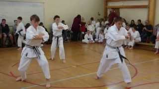 Shotokan Karate Competition Heian Yondan Team Kata [upl. by Hermina]