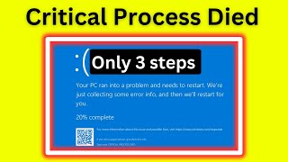 How to Resolve the Critical Process Died Blue Screen on Windows 10 amp 11 [upl. by Ecaj483]