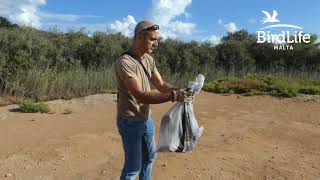 Illegal hunting continues to take its toll on protected species migrating through Malta this autumn [upl. by Hadley]