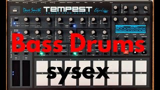 DSI Tempest  Bass Drums [upl. by Magbie]