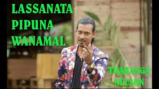 Tharanga Nelson LASSANATA PIPUNU WANAMAL  ලස්සනට පිපුනු වනමල්  Official Video 📞 0714938833 [upl. by Eislel]