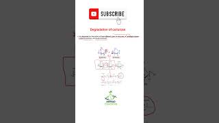 Degradation of Celluose polysaccharides ahmadcoaching cellulose [upl. by Longmire658]