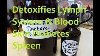 Making Burdock Root Double Tincture [upl. by Noskcire]