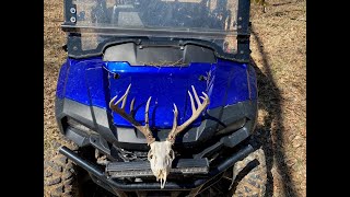 Second biggest dead head Ive ever found 13 pointer 2022 whitetaildeer antlers sidebyside [upl. by Manwell]