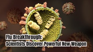 Flu Breakthrough Scientists Discover Powerful New Weapon [upl. by Klos]