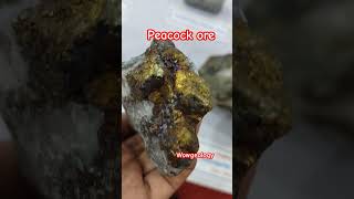 Bornite ore geology shorts copper geologist youtube cu peacock viralshort viralvideo geo [upl. by Ednargel]