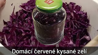 Domácí červené kysané zelí ve sklenici  recept [upl. by Ynttirb]