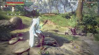 BLACK DESERT ONLINE  GAMEPLAY 496 [upl. by Pillsbury]