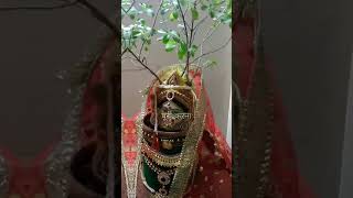 Tulsi vivah ki hardik shubhkamnaye 🌺🪴 tulsimata [upl. by Kabab364]