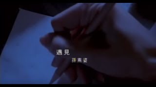 孫燕姿 Sun YanZi  遇見 Encounter official 官方完整版MV [upl. by Chenee]