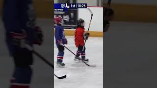 골클립 hockeytv PICK🏒goalclip 하키티비 골장면🔥🔥hockey 하키티비 icehockey goal shorts [upl. by Hterag]