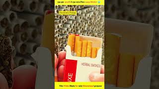 Testing fake Hollywood cigarttes😱 shorts Ytshorts Devendrapratap [upl. by Atnauqal449]