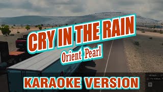 Cry In The Rain  Orient Pearl  karaoke [upl. by Egnalos]