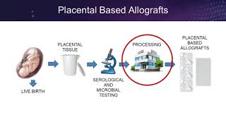 Placental Based Allografts From Womb to Wound [upl. by Tosch]