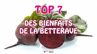 TOP 7 des bienfaits de la BETTERAVE [upl. by Bethena]