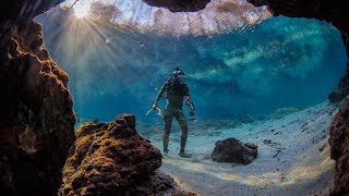 Found Crystal Clear Swimming Spot in Florida Beware Alligators  DALLMYD [upl. by Vastha]