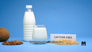 Oat Milk vs Whole Milk Which Reigns Supreme oatmilk lactosefree [upl. by Aniloj]