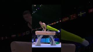 Rhys McClenaghan Pommel Horse Gold  World Gymnastics Championships 2023 🥇 [upl. by Joanna]