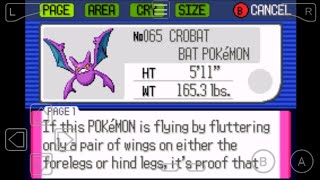 065 How to Evolve Golbat into Crobat in Pokemon Ruby [upl. by Htims]