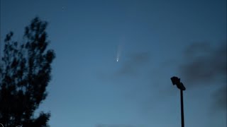 Starman Live Can we see Comet Nishimura ☄️ [upl. by Atnahs]