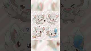 Pokémon Minccino Edit [upl. by Gotcher]