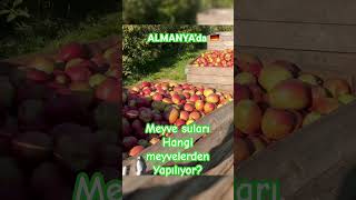 👩🏻‍🌾👨🏻‍🌾Meyve suları nasıl yapılırtarım psikolojifarmingnewvideoalmanyanatureçiftçilik [upl. by Baptista]