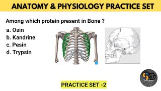 Anatomy amp Physiology Practice Set2  Physical Education  Sports Darbar [upl. by Elletnwahs596]