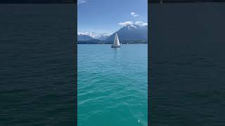 📍Thunersee Switzerland 📸🇨🇭 nature travel asmr [upl. by Rodge]