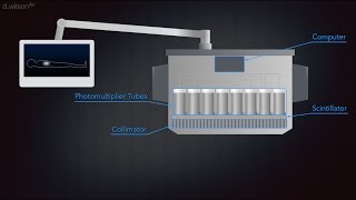 Gamma Camera Animation [upl. by Laemsi]