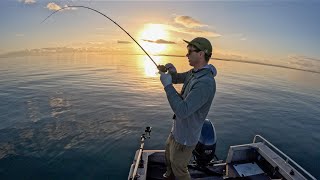 Moreton Bay  Shallow Reef Fishing with BFS Gear [upl. by Furr667]