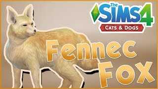 A Wild Fennec Fox Arrives 🐱🐶 Sims 4 Cats amp Dogs [upl. by Sebastian]