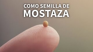 Como Semilla de Mostaza  110324 [upl. by Asoral]