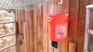 Automatic water powered chicken coop door opener [upl. by Dori489]