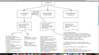 Myeloid and Lymphoid neoplasms web Computer [upl. by Niroc627]