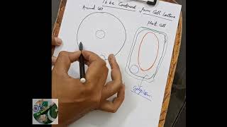 Difference between animal cell and plant cell PART2 [upl. by Nor]