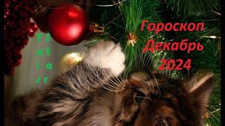 Гороскоп на Декабрь 2024 Близнецы 🎄👯‍♂️ [upl. by Yenor]