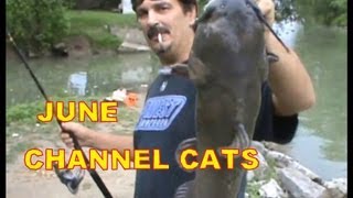 CREEK BANK FISHING CHANNEL CATFISH [upl. by Annahsat874]