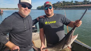 Paddlefish spoonbill snagging catch and release Gavins Point dam South Dakota Nebraska fishing [upl. by Swamy]