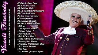 Vicente Fernández Viejitas pero Bonitas 80s 90s  Las 20 Mejores Canciones de Vicente Fernandez [upl. by Eryn120]