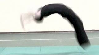 ACROBATICA  Flic Flac Tutorial How to Do a Back Handspring 27 [upl. by Peregrine821]