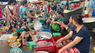 Compilation Fish Market Scene In Town  Plenty Fish Fresh Vegetable More Food In Wet Market [upl. by Wait]