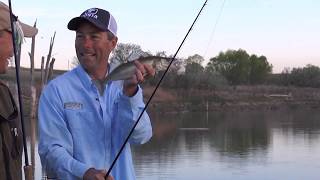 Golden Opportunity largemouth and walleye fishing Fishful Thinker TV [upl. by Anahoj]