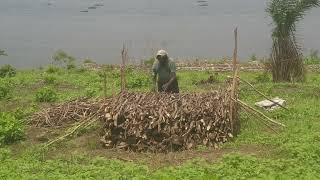 charbonnier de la Coopérative agricoletechnique traditionnelle de la pyrotechnique moins polluant [upl. by Orelu]